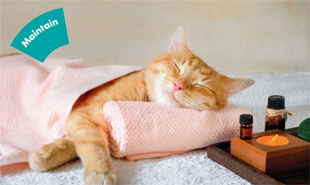 The important role of quality sleep for maintaining oral and general health … and how to make sure you get enough of it!