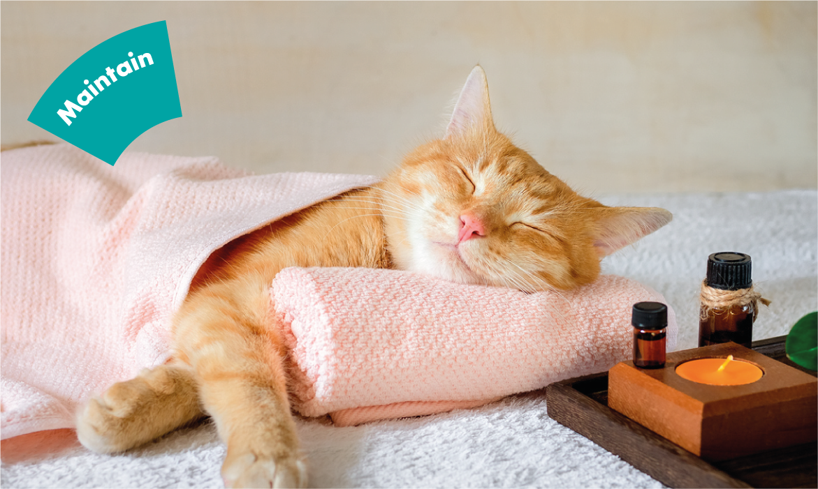 The important role of quality sleep for maintaining oral and general health … and how to make sure you get enough of it!